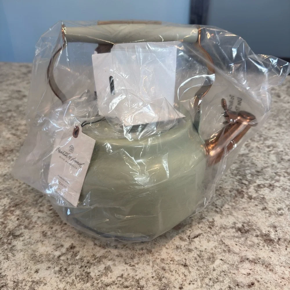 Hearth & Hand 2qt Stainless Steel Arch Cutout Teapot Serene Green- RARE FIND